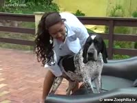 Veterinary gives sensuous treatment to dogs